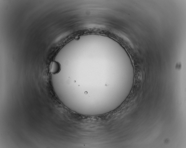 X0000102490869200808221728