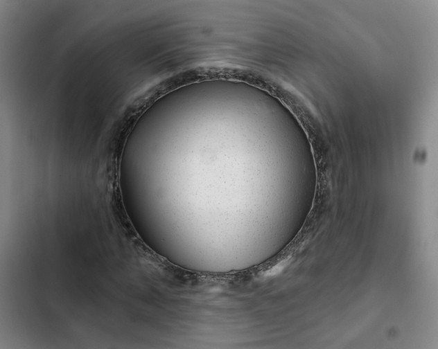 X0000102490870200808221728