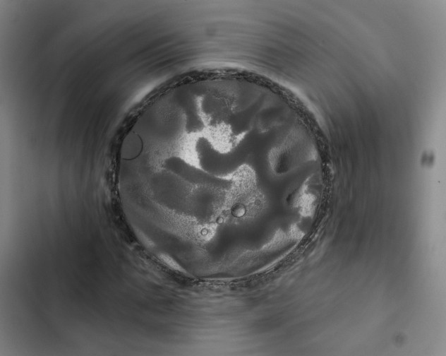 X0000102490871200808221728