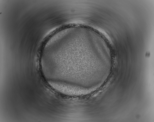 X0000102490872200808221728