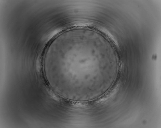 X0000102490874200808221728