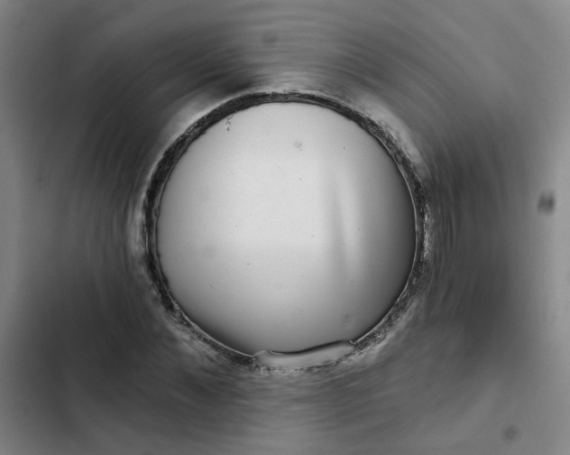 X0000102490876200808221728