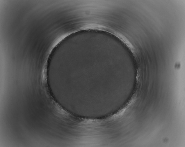 X0000102490877200808221728