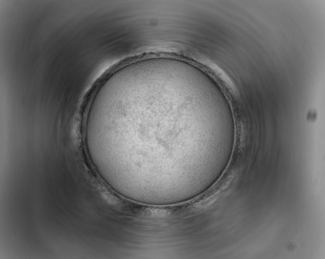 X0000102490878200808221728