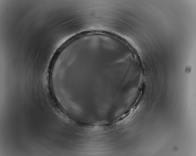 X0000102490879200808221728