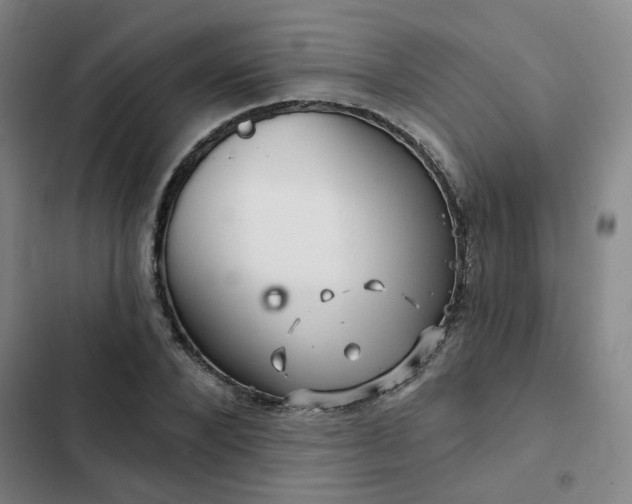 X0000102490880200808221728