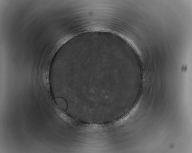 X0000102490881200808221728