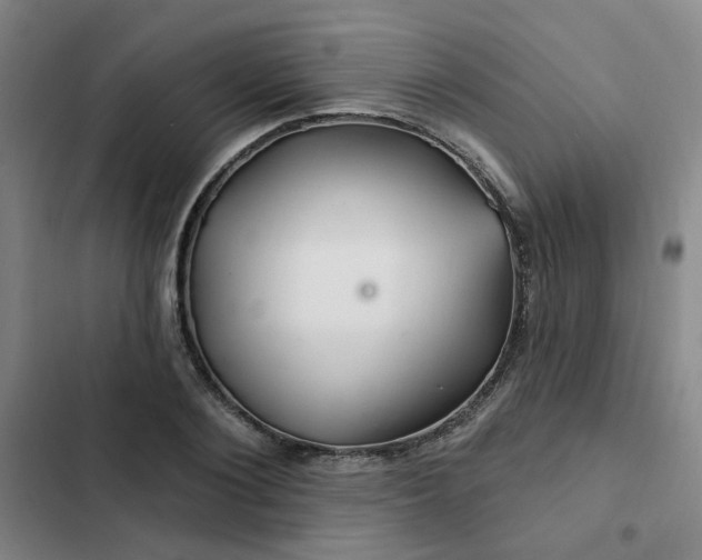 X0000102490884200808221728