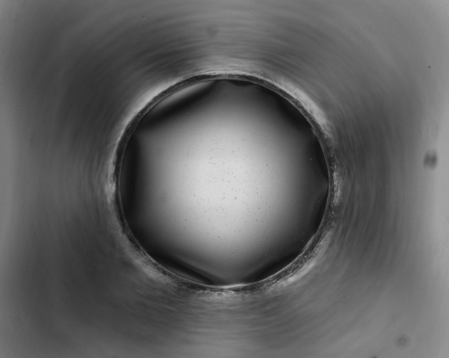 X0000102490885200808221728