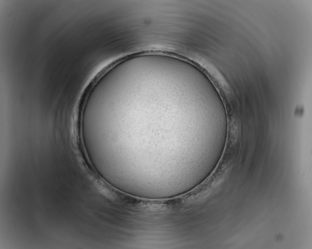 X0000102490886200808221728