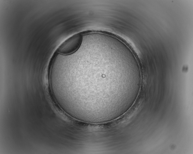 X0000102490887200808221728