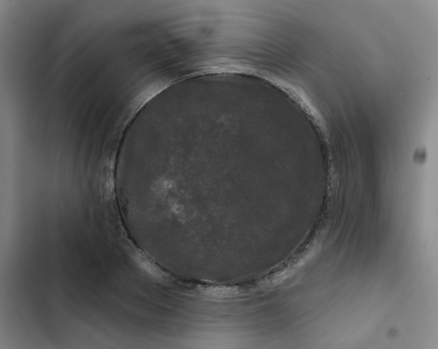 X0000102490889200808221728