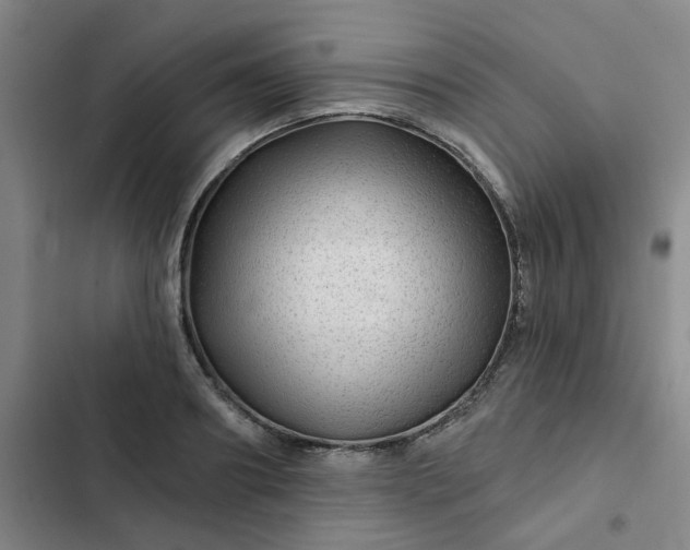 X0000102490890200808221728