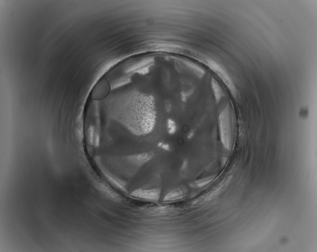 X0000102490891200808221728