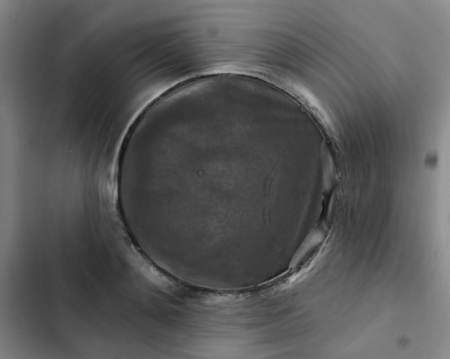 X0000102490892200808221728