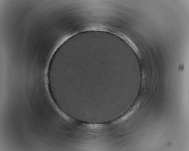 X0000102490893200808221728