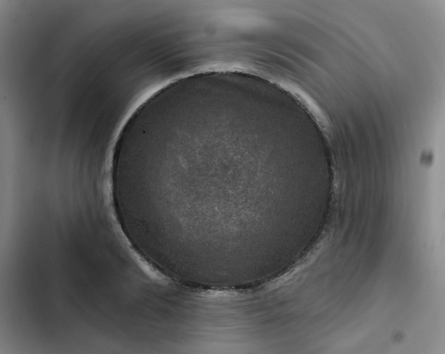 X0000102490894200808221728