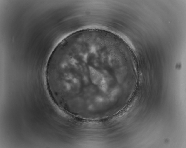 X0000102490895200808221728