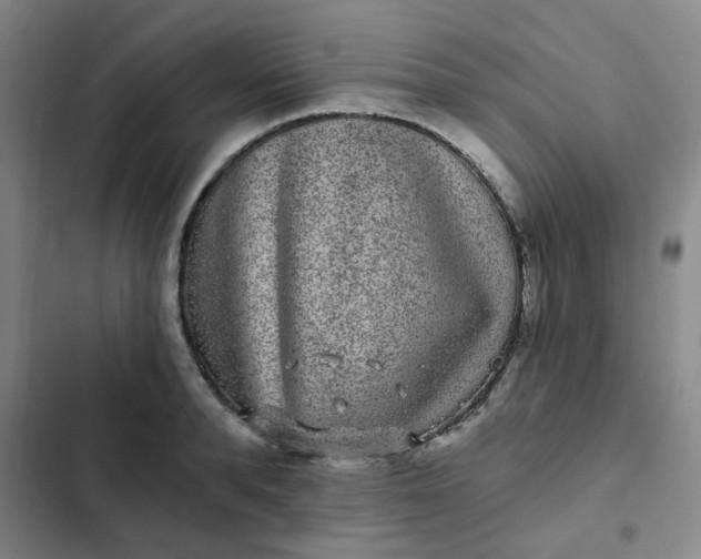 X0000102490896200808221728