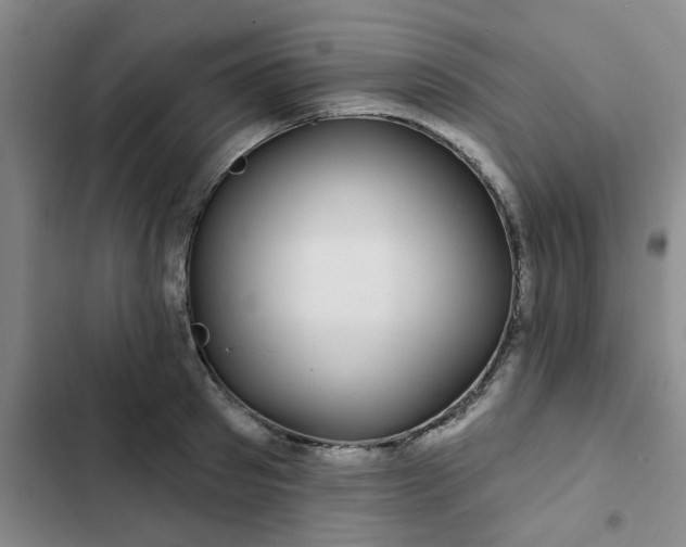 X0000102490897200808221728