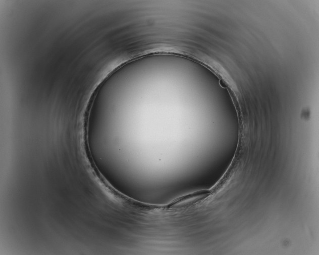 X0000102490898200808221728