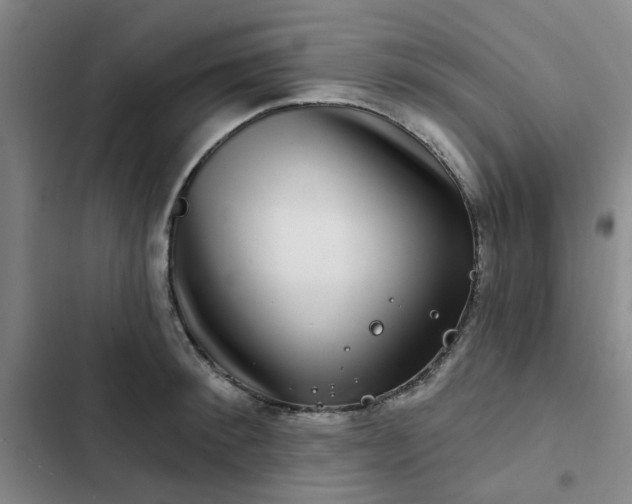 X0000102490900200808221728