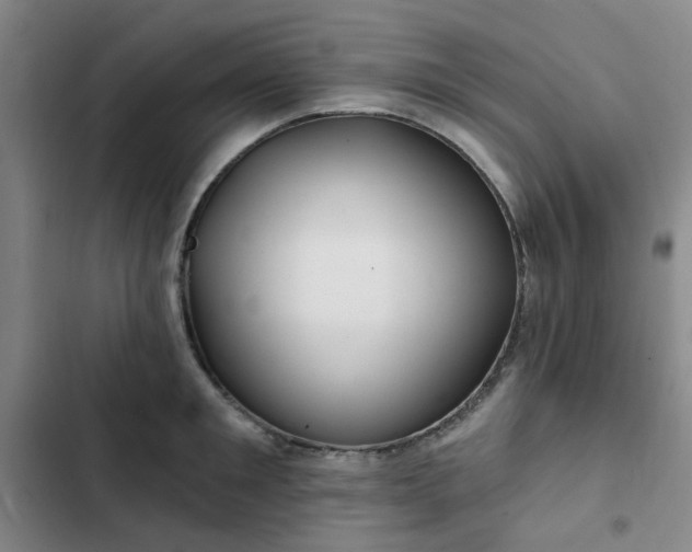 X0000102490901200808221728