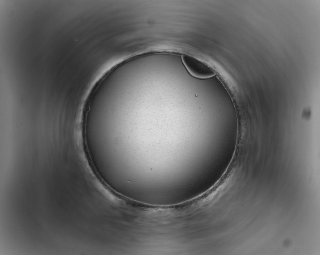 X0000102490902200808221728