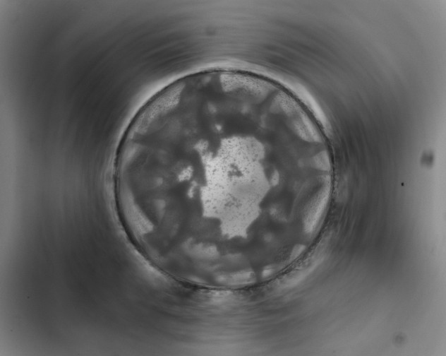 X0000102490903200808221728