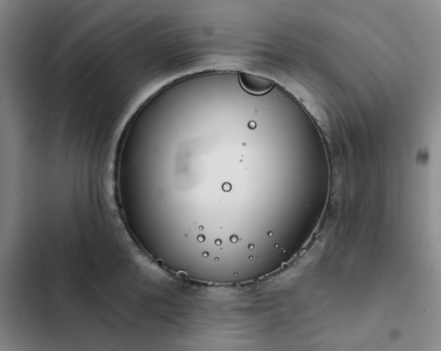 X0000102490904200808221728