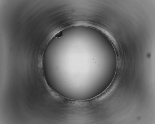 X0000102490905200808221728