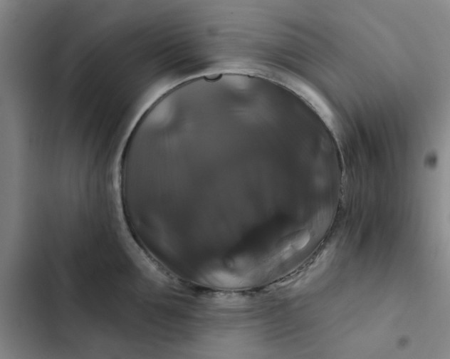 X0000102490907200808221728