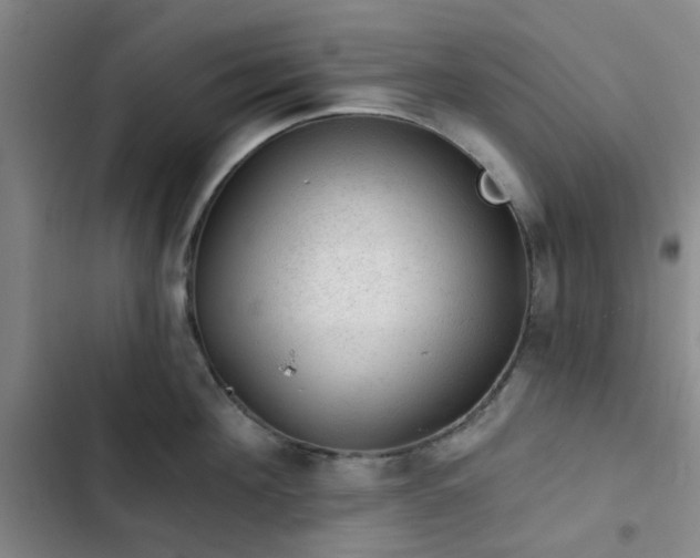 X0000102490908200808221728