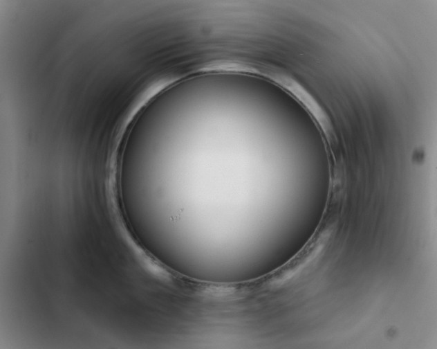 X0000102490909200808221728