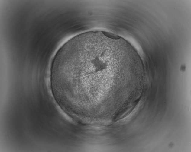 X0000102490910200808221728