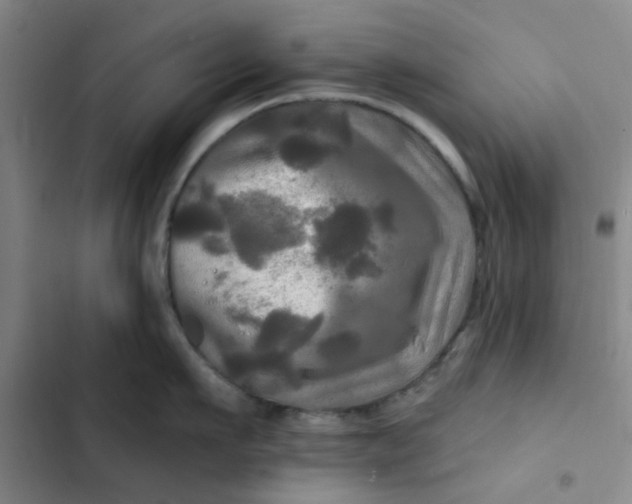 X0000102490911200808221728