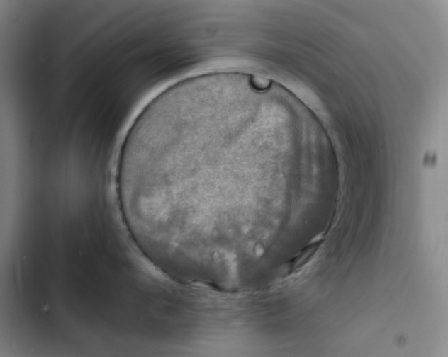 X0000102490912200808221728