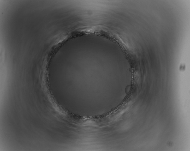 X0000102490913200808221727