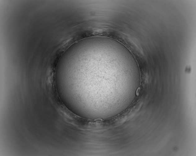 X0000102490914200808221727