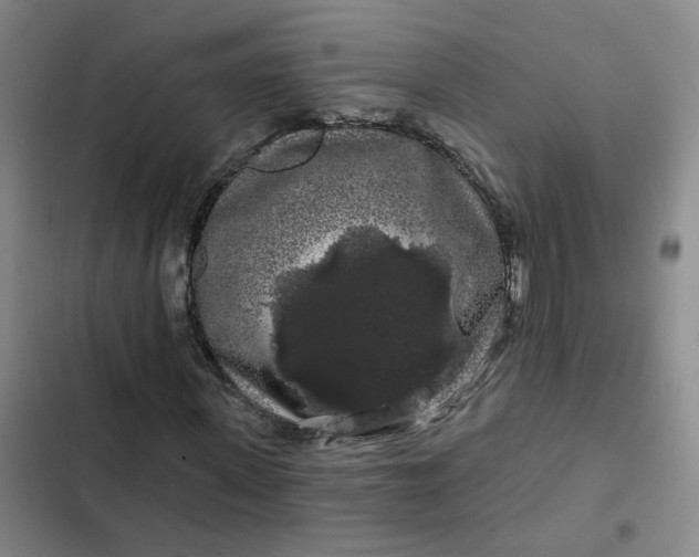 X0000102490915200808221727