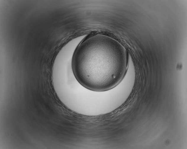 X0000102490916200808221727