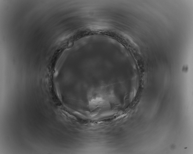 X0000102490917200808221727