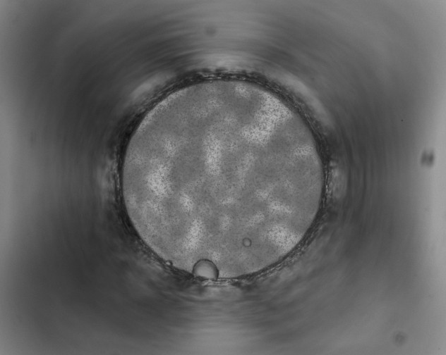 X0000102490918200808221727