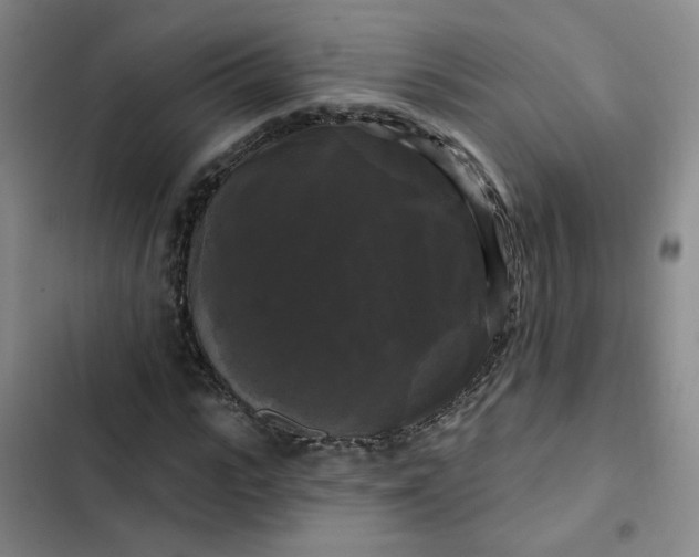 X0000102490919200808221727