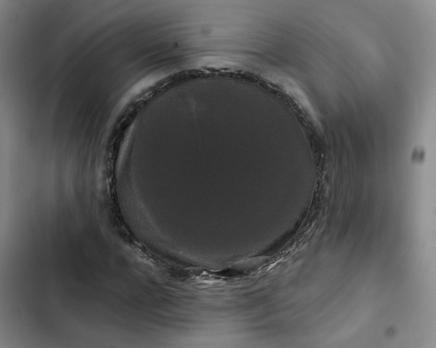 X0000102490920200808221727