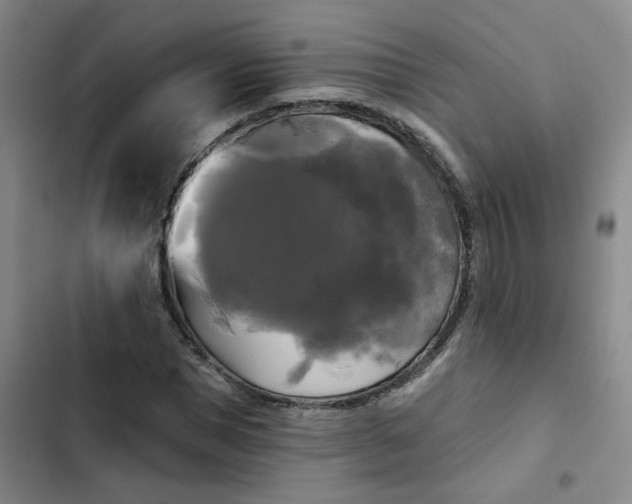 X0000102490921200808221727