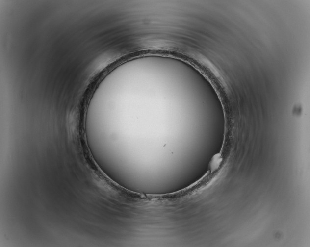 X0000102490922200808221727