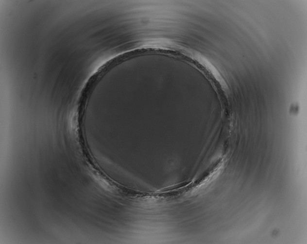 X0000102490923200808221727