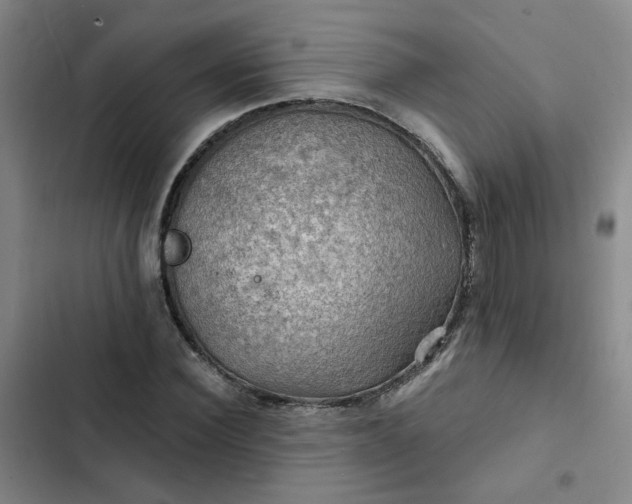 X0000102490924200808221727