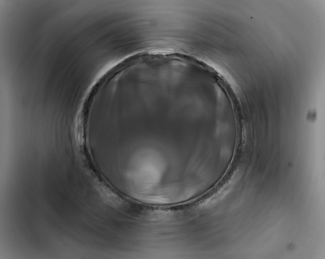 X0000102490925200808221727